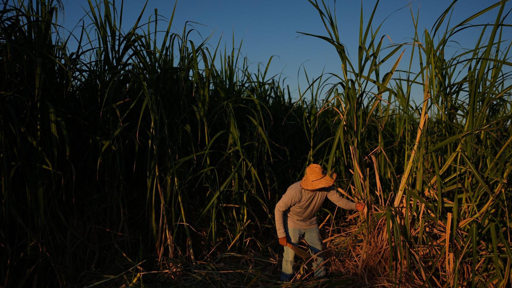 In a California farming region, researchers are mapping rural heat to protect farmworkers